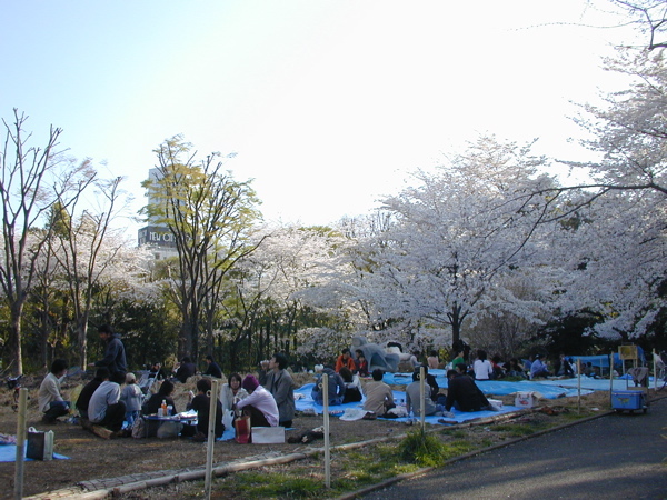tokyo