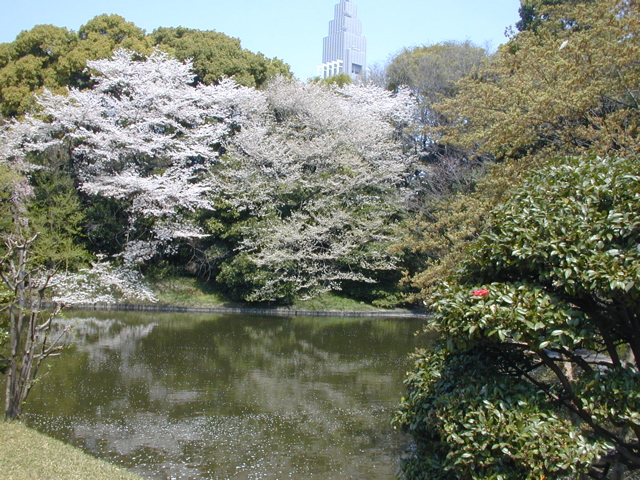 DSCN0610