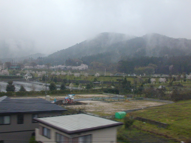 DSCN0735
