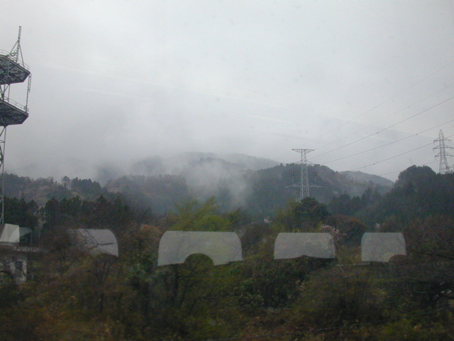 DSCN0736
