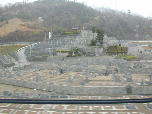 DSCN0739