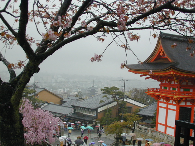 DSCN0751