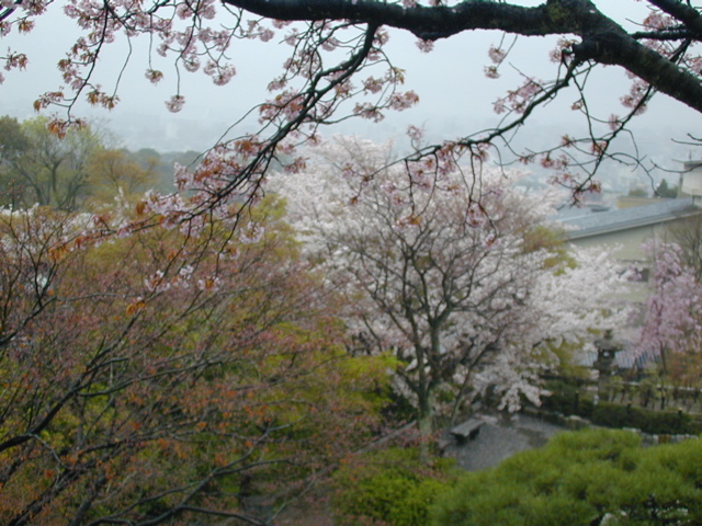 DSCN0752