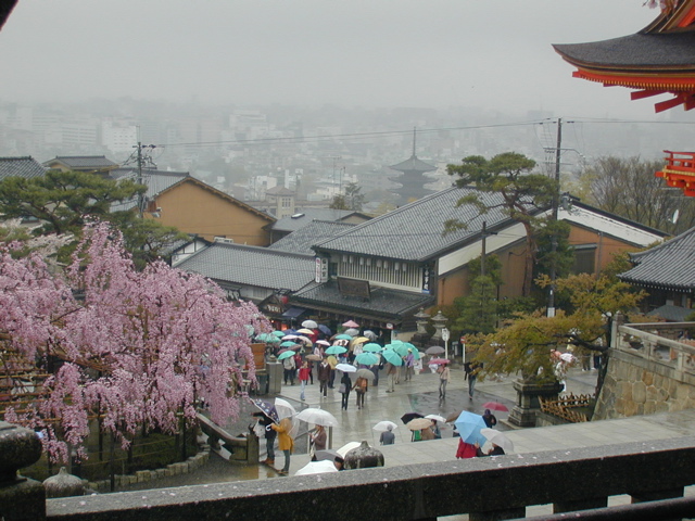 DSCN0753