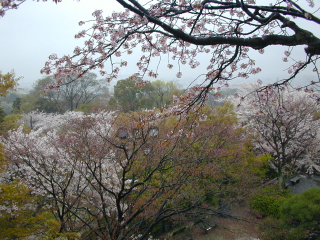 DSCN0754