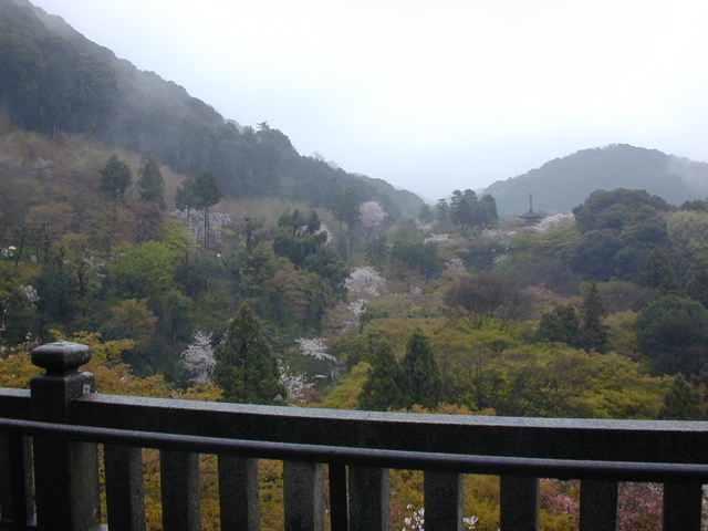 DSCN0755