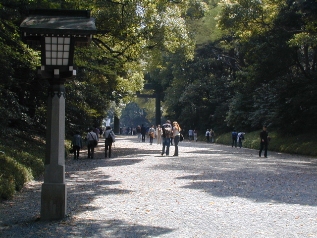 DSCN0613