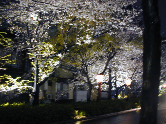 DSCN0767