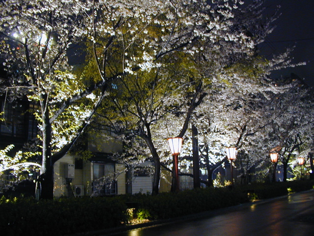 DSCN0768