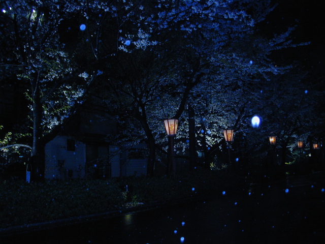 DSCN0769