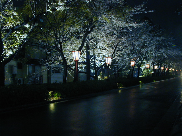 DSCN0771
