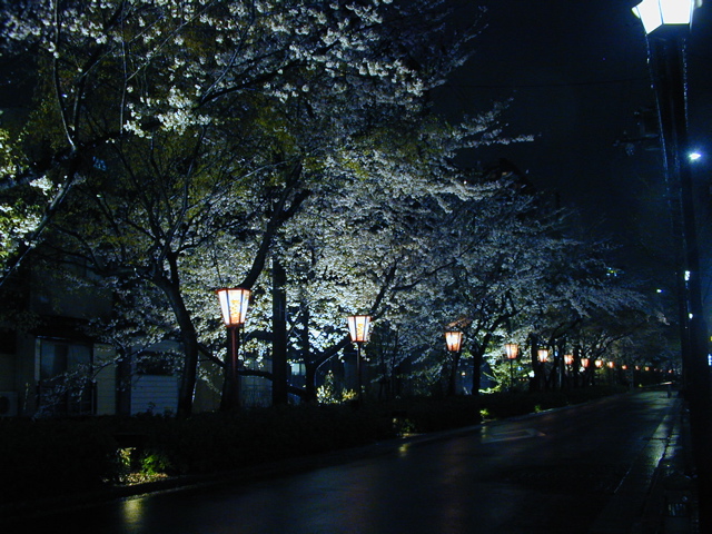 DSCN0773