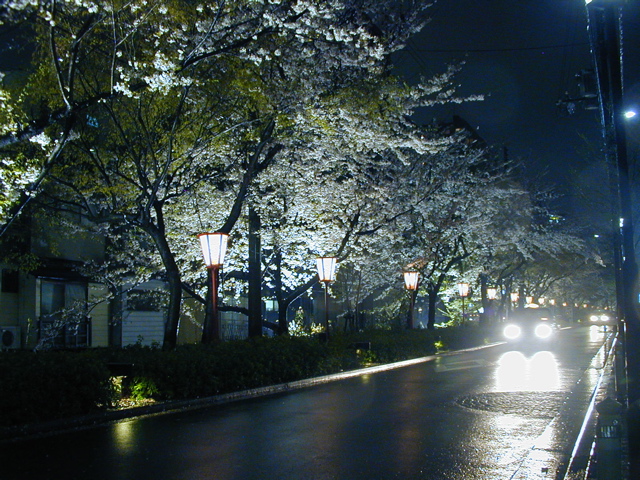 DSCN0775