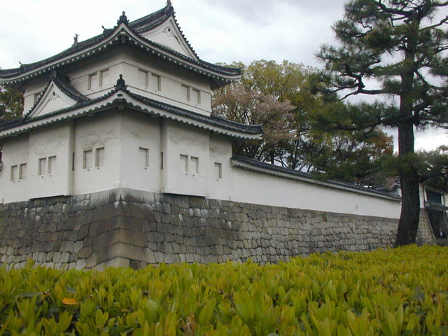 DSCN0782