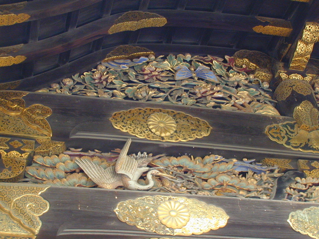 DSCN0786