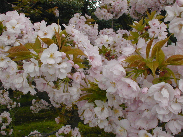 DSCN0788
