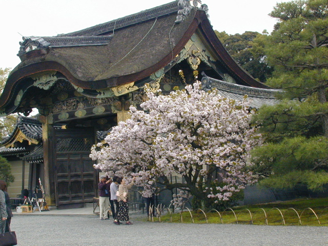 DSCN0790