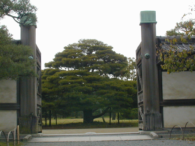 DSCN0791