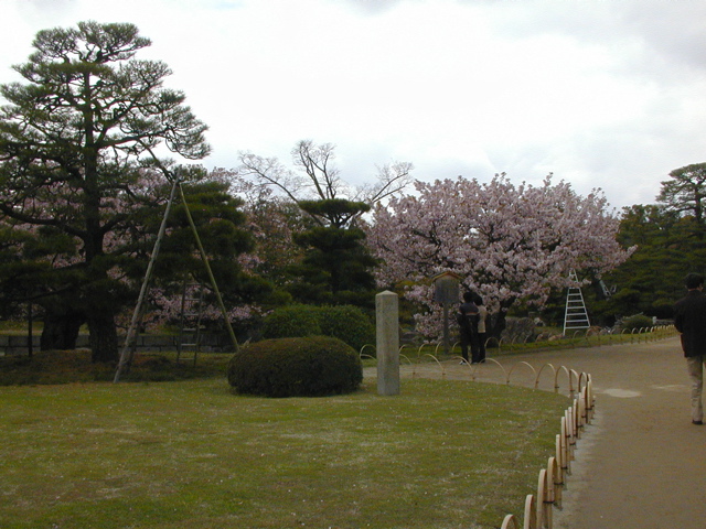 DSCN0792