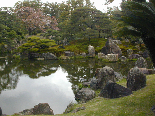 DSCN0793