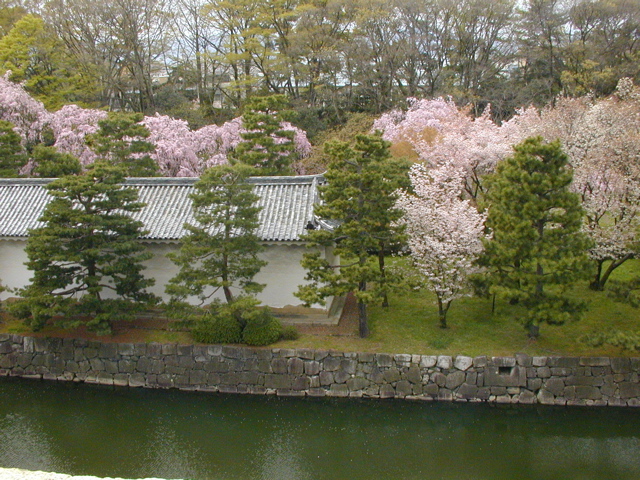 DSCN0797