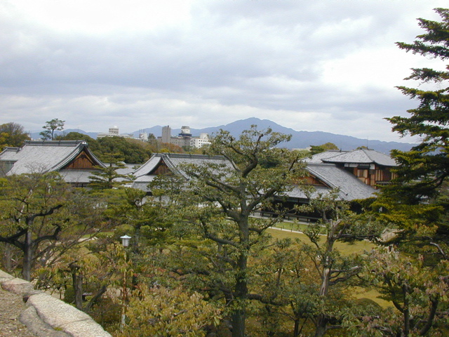 DSCN0800