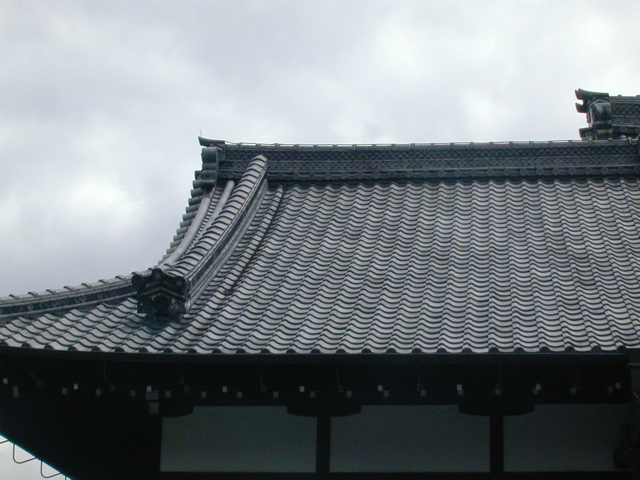 DSCN0802