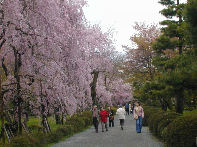DSCN0812