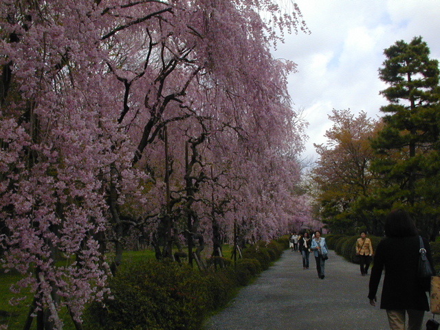 DSCN0815