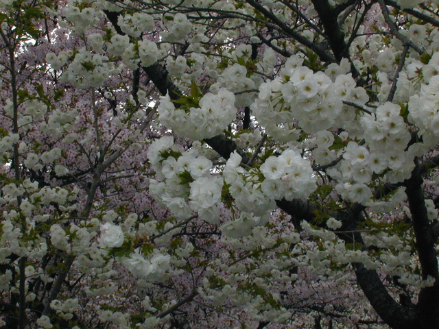 DSCN0819