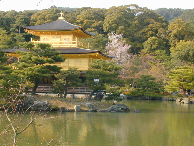 DSCN0832