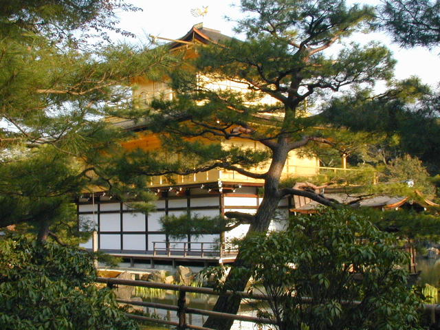 DSCN0837