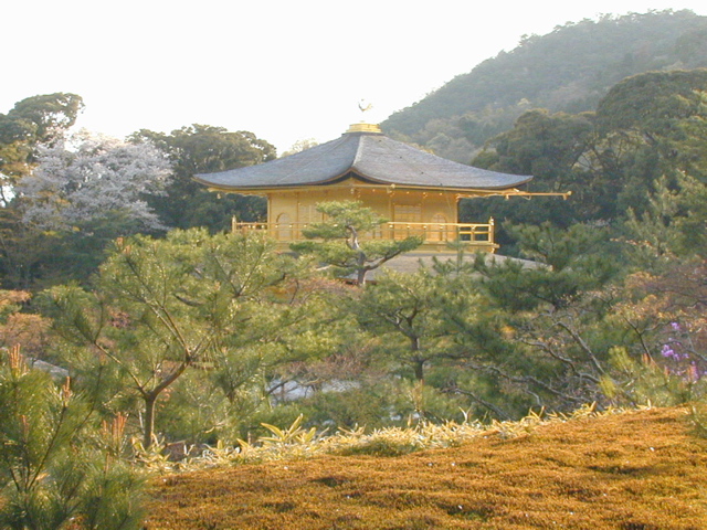 DSCN0842
