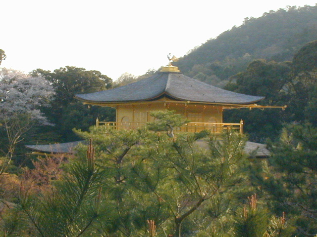 DSCN0843