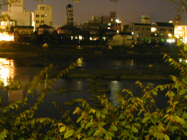 DSCN0854