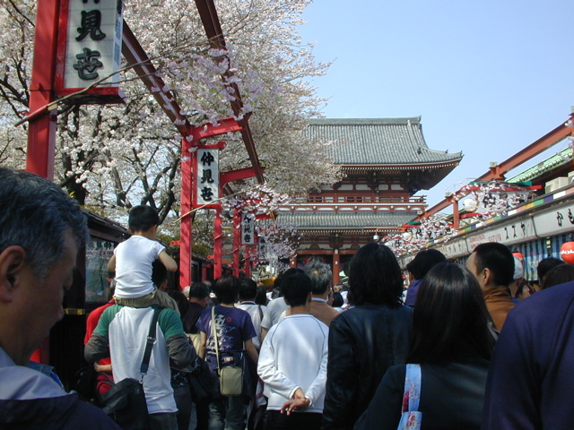 DSCN0626
