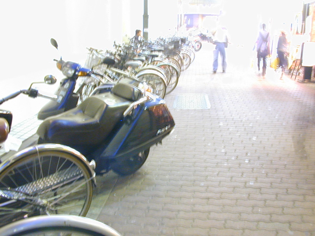 DSCN0641