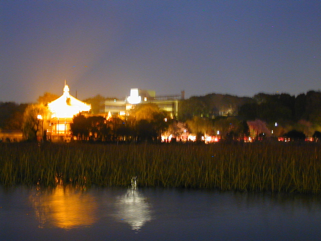 DSCN0650