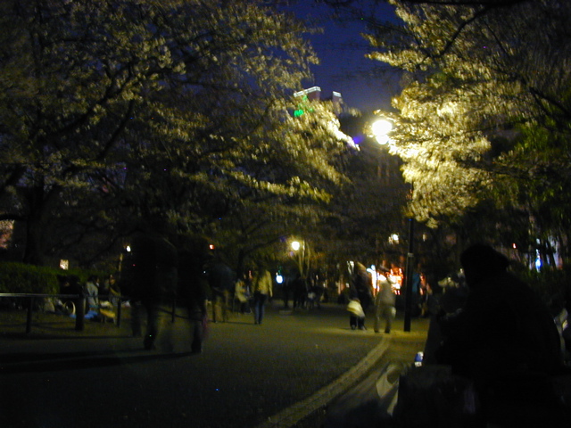 DSCN0660