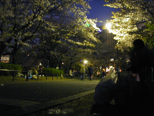 DSCN0661