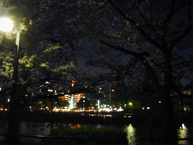 DSCN0664