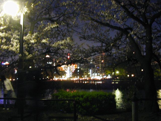 DSCN0665