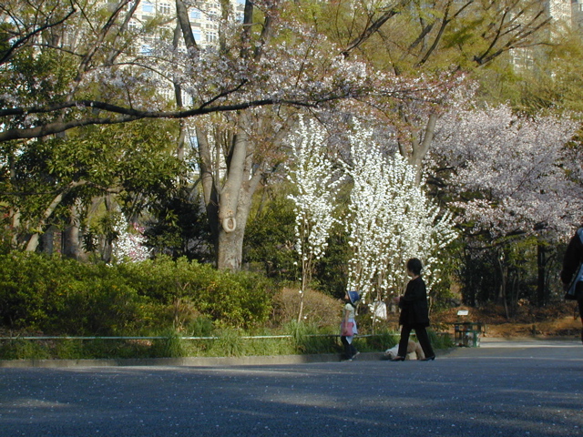 DSCN0604