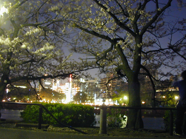 DSCN0669