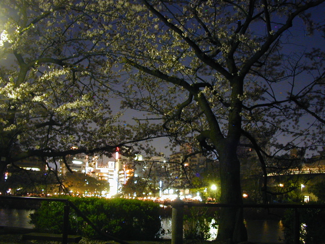 DSCN0671