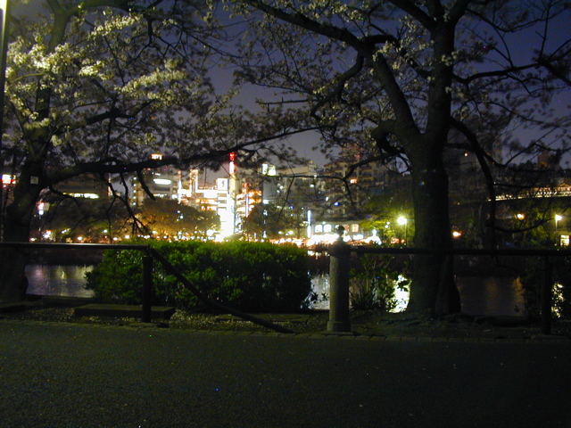DSCN0672