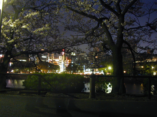 DSCN0673