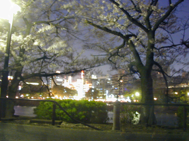 DSCN0675