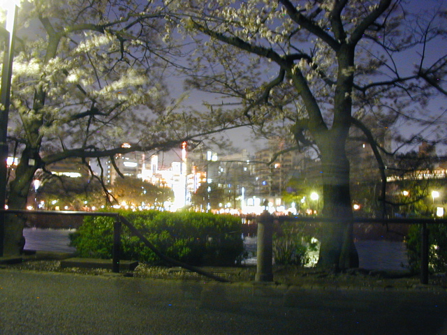 DSCN0676