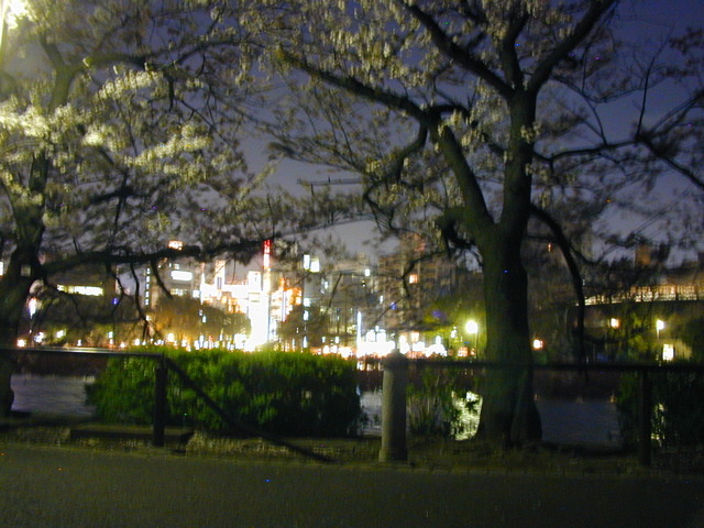 DSCN0677
